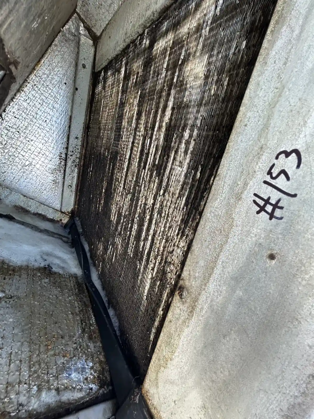 Musty Smell From Your AC Vents? Start at the Drain, Not the Ducts Heavy buildup on an evaporator coil before cleaning